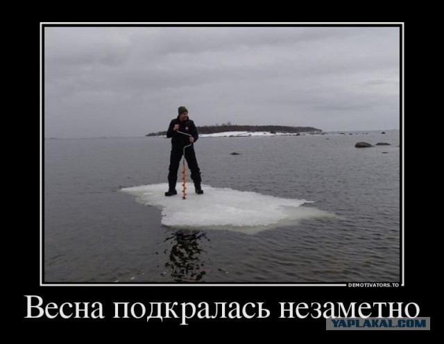 Смешные картинки