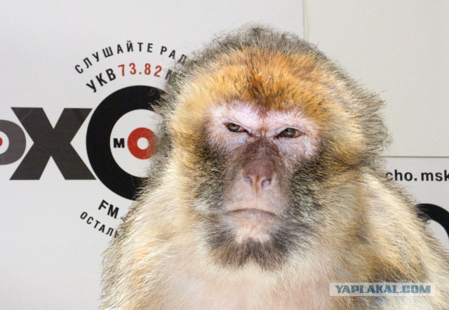 Либеральные СМИ о российском космосе