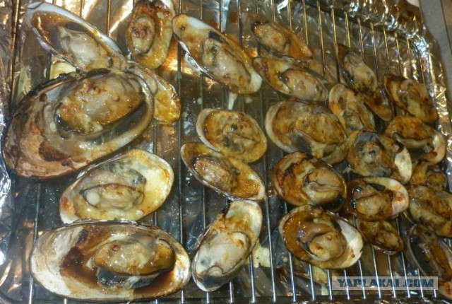 В Крыму решили закормить россиян моллюсками