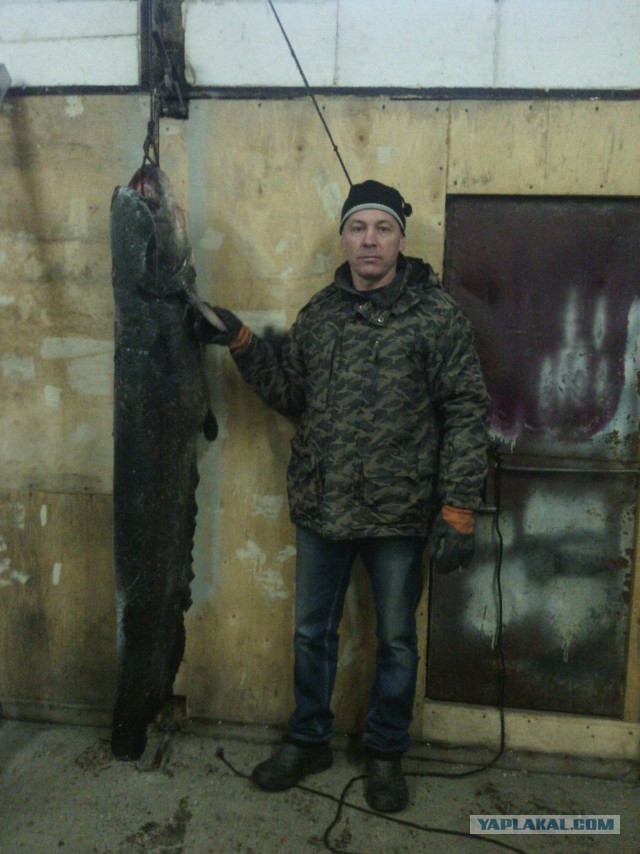 Лето закончено. Давайте вспомним о рыбалке