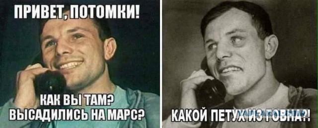 Петух из навоза готов !