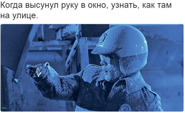 Всячина. Картинки и тексты картинками