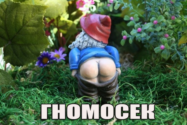 Да они же обдолбанные все!