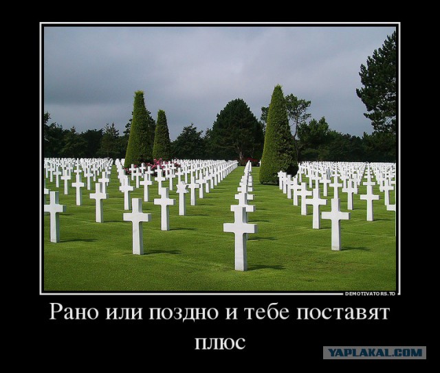Поляна чёрного юмора и цинизма
