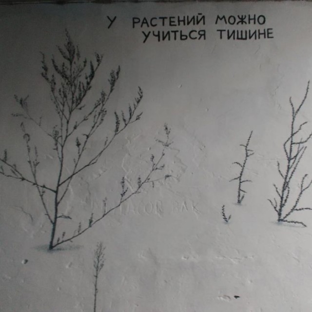 Уличные надписи с глубоким смыслом