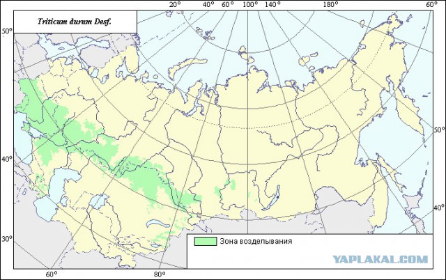 КОКОС 2.1. Голосование