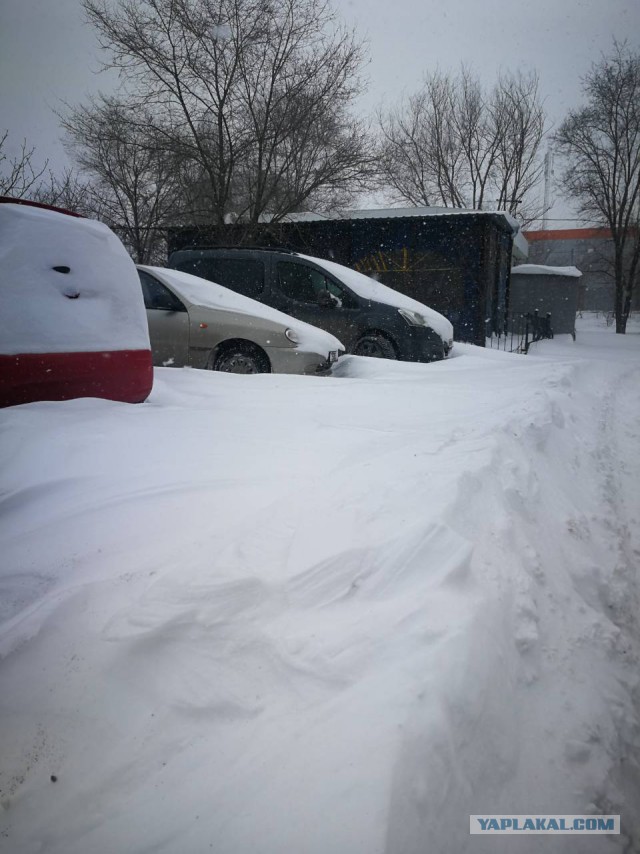 Вот и пришла весна!