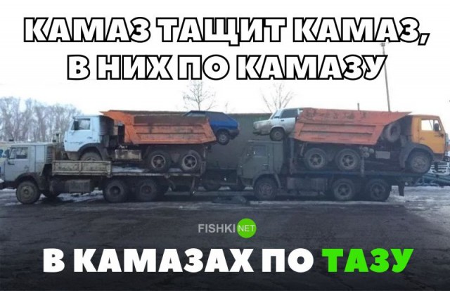 Самые безумные способы перевозки