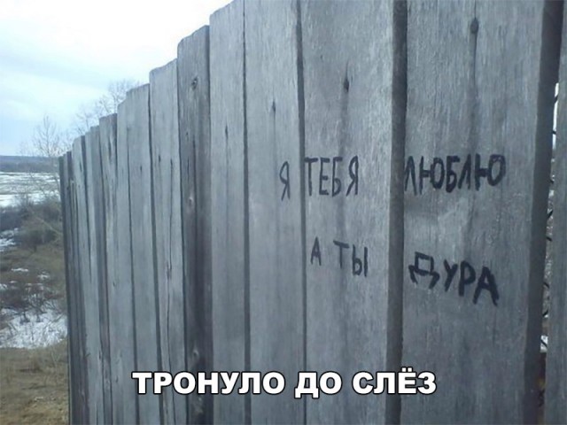 Прикольные картинки обо всём
