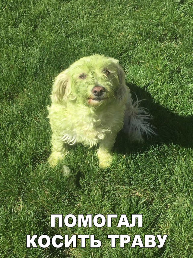 Подборка прикольных фоток
