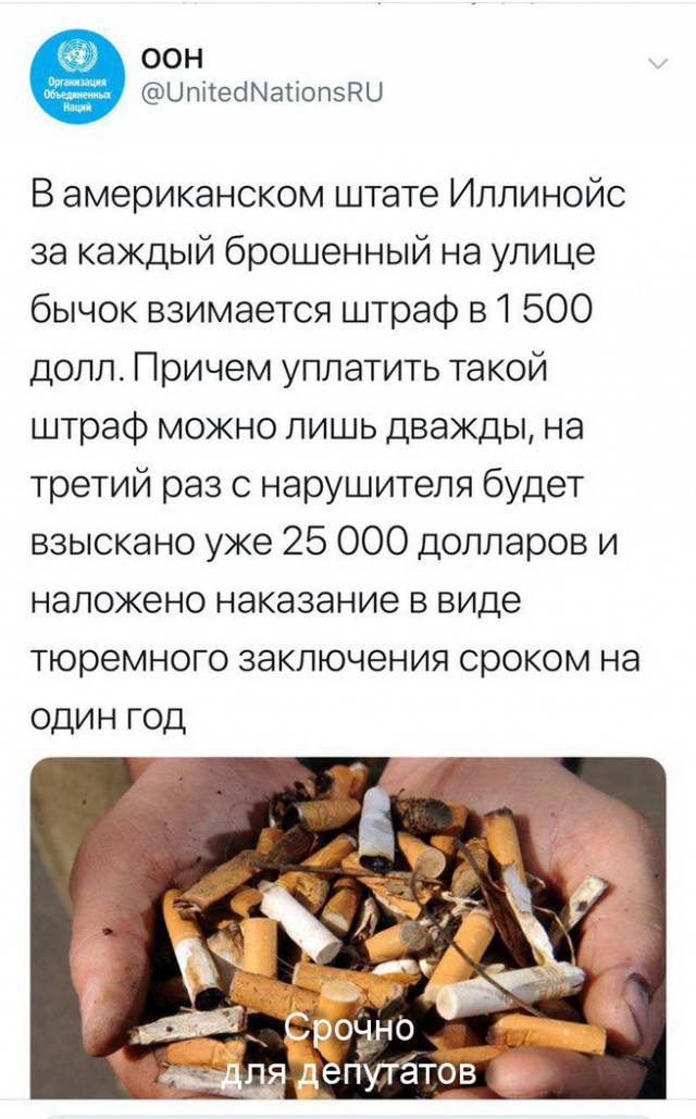 Смешные комментарии из социальных сетей 31.08.2018