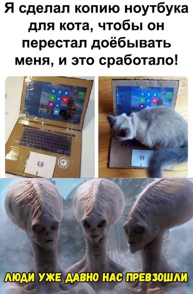 Нестандартный юмор