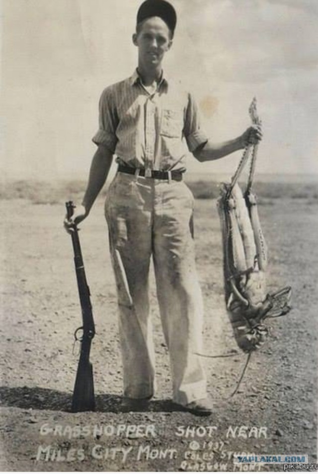 Фальшивая история человечества. Старинные фотографии