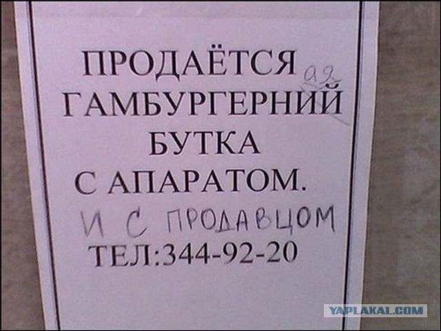 Учителя теперь могут не иметь педагогического образования