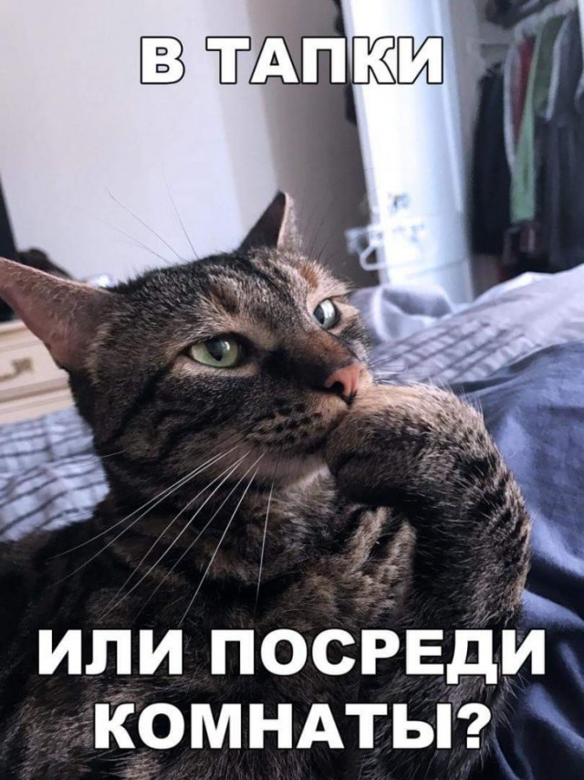 Свежие мемы и демотиваторы