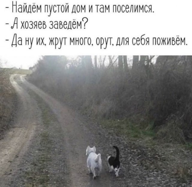 Немного картинок для настроения