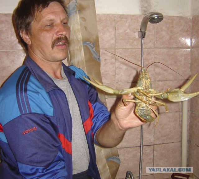 В этом мире ещё так много интересного