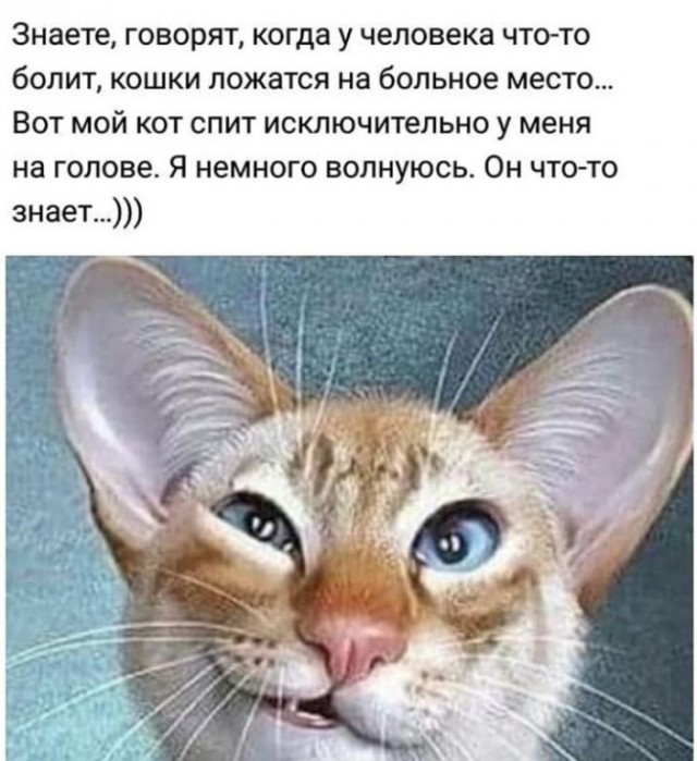 Любовь прошла, завяли помидоры