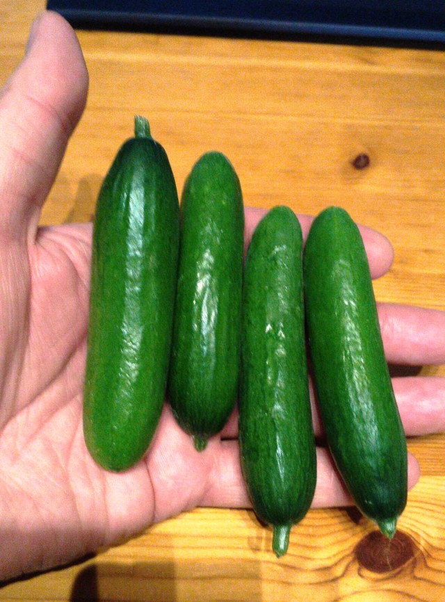 15 непривычных для нас продуктов, которые можно увидеть в зарубежных супермаркетах