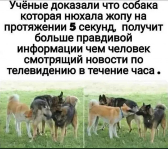 Бредзона 08.07.2020