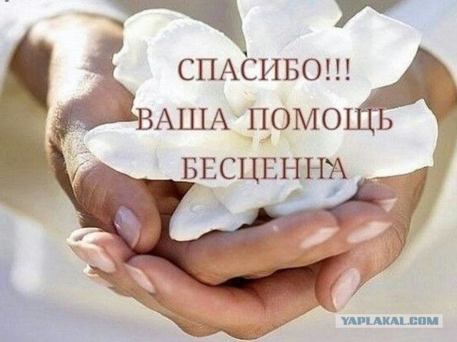 В Мурманске замерзает дальнобойщик