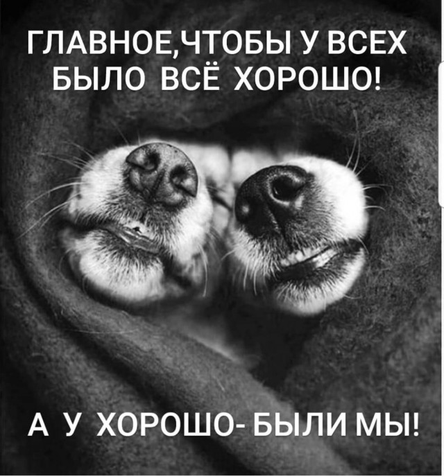 Про ж-ж-ж, кусь-кусь и бо-бо