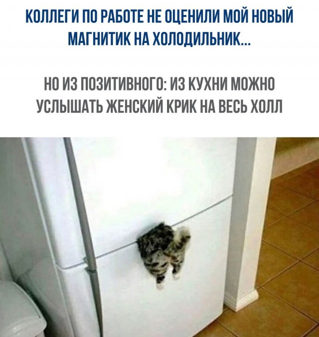 Чернушка 26.12.20