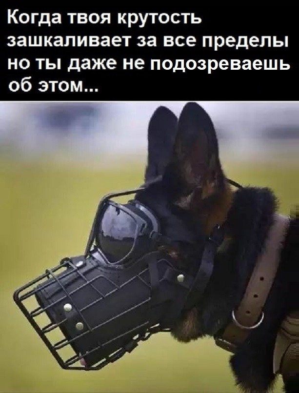 Картинки с надписями и всякие жизненные фразы 14.1.21