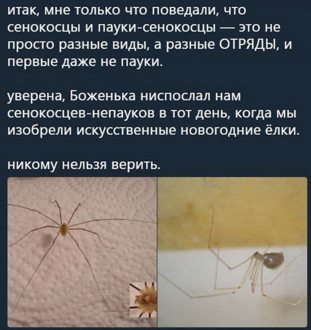Картинки и мемы для настроения 014