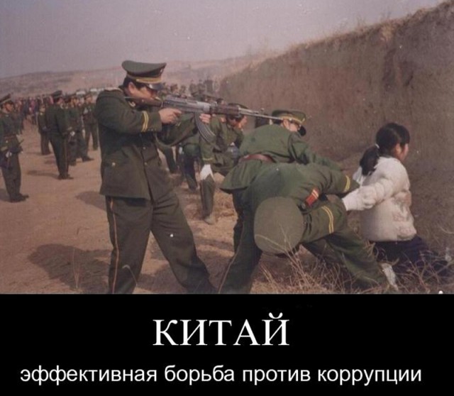 Приключения Чиполлино 2021