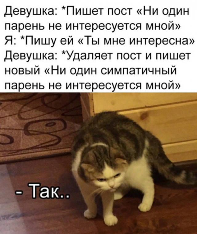 Весёлый полтишок 15.02