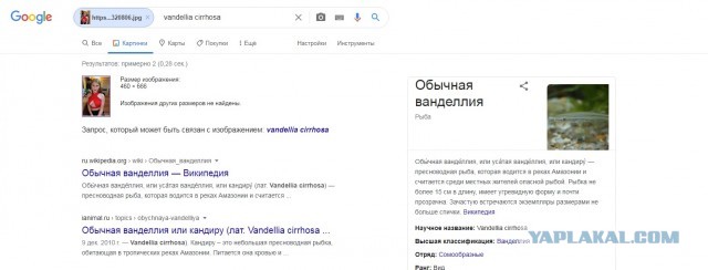 Задумался