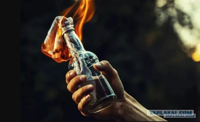 В Севастополе доберман набросился на хозяйку приюта бродячих собак, он покусал женщину и случайного прохожего