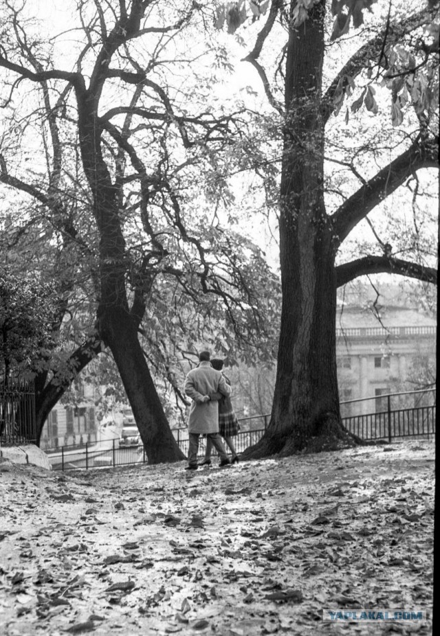 Джек Шарп - гениальный фотограф любитель