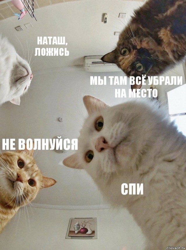 Наташа, успокойся