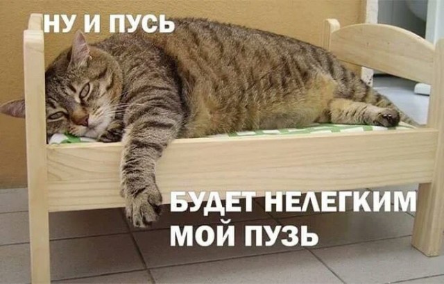 Миссия невыполнима