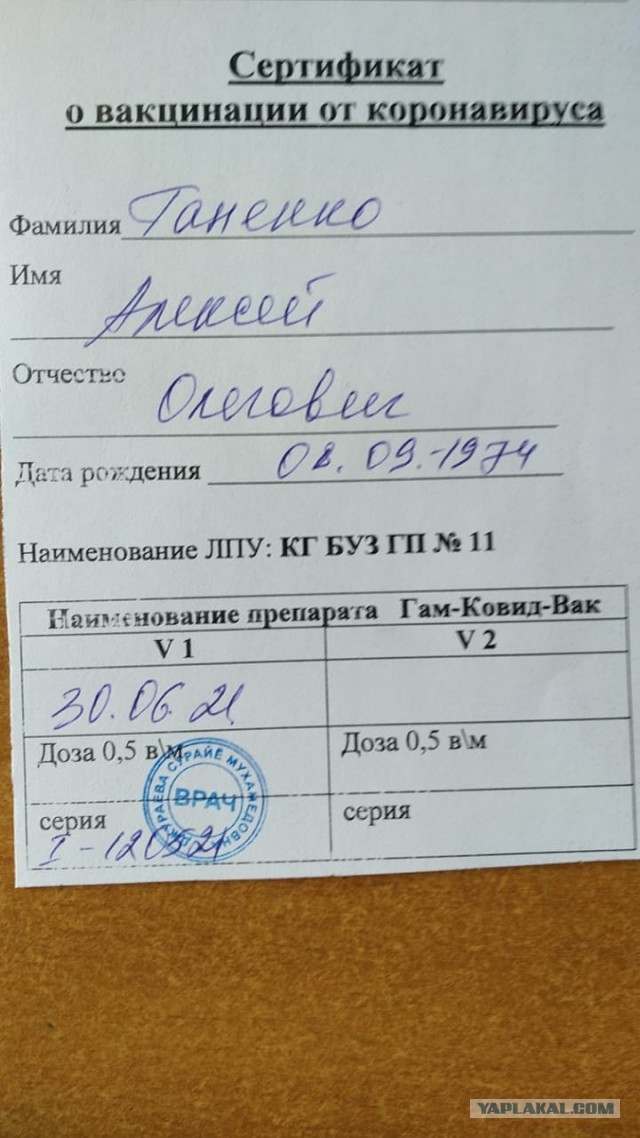 Кибердружины для поиска антиваксеров в Сети появятся в России