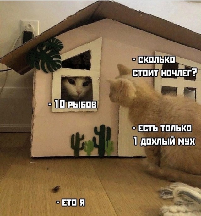 Картинки и мемы для настроения 01.12.2021