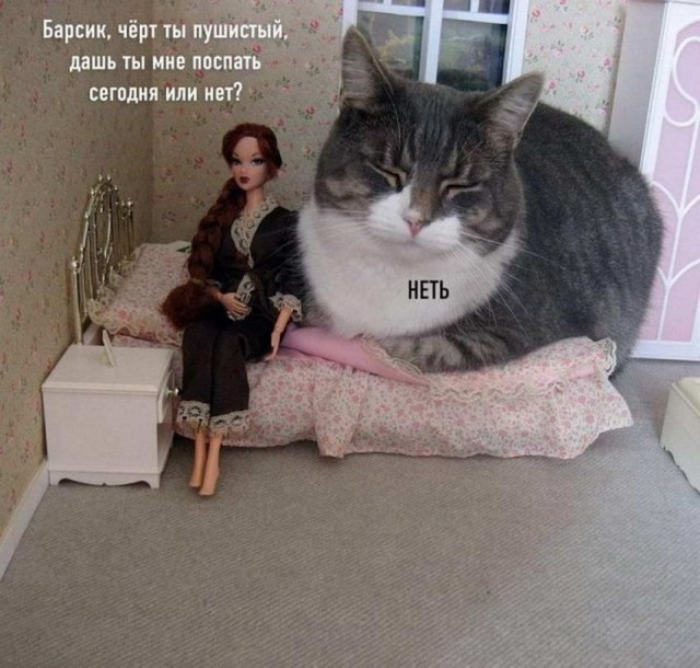 Один шаг и она начнется