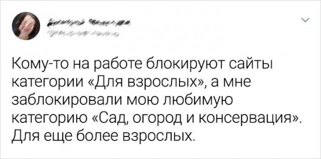 Всяческие картинки 24.12.2021