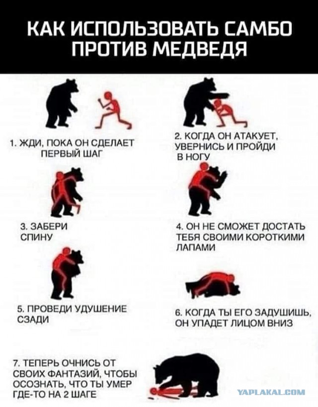 Картинки аморальные и всякие разные - 21