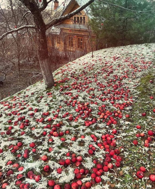 Пандемия. Коронавирус и съехавшие крыши. Россия и мир. Часть 33.