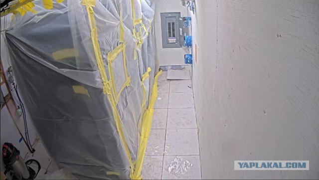 Техподдержка показала фото, от которых вам станет не по себе.