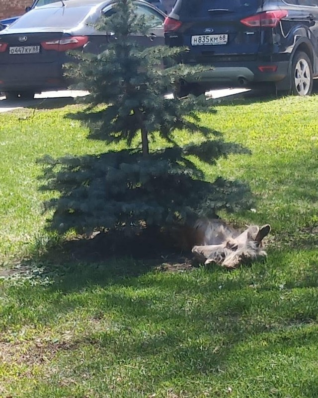 А как вы отдыхаете?