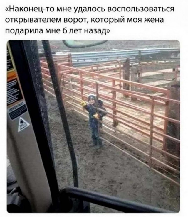 40 пятничных картинок разных 20.05.2022