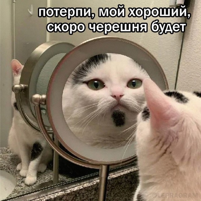 Пандемия. Коронавирус и съехавшие крыши. Россия и мир. Часть 35