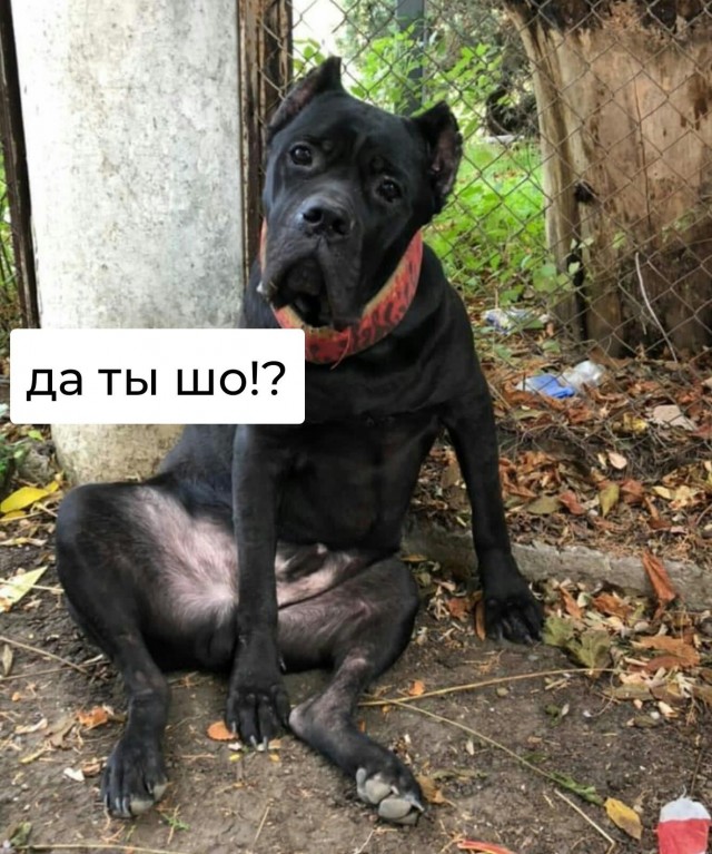Смешные картинки 07.06.2022