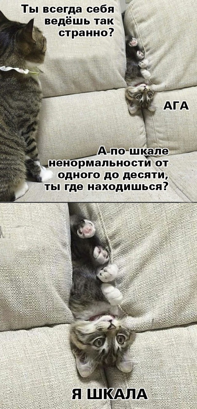 Немного картинок и прочей хреноты Vol. 17