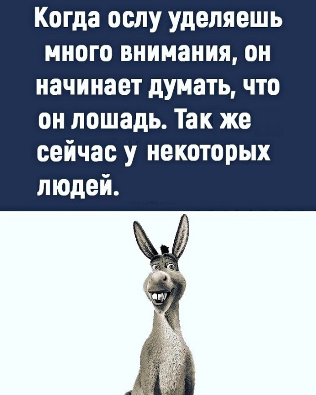 Картинки с надписями и всякие жизненные фразы