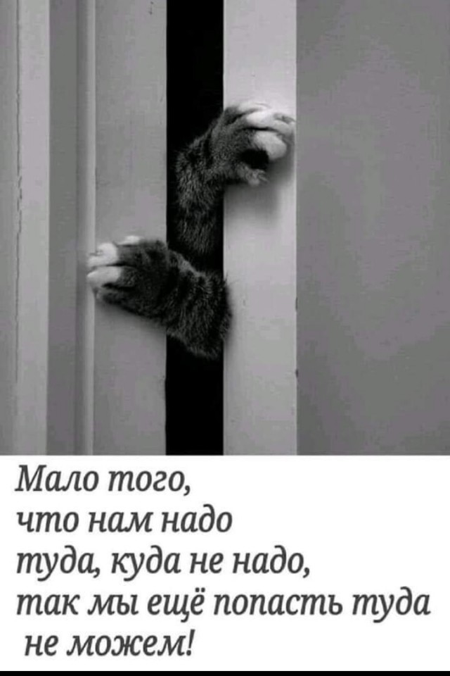 Так себе картинки 06.07.22